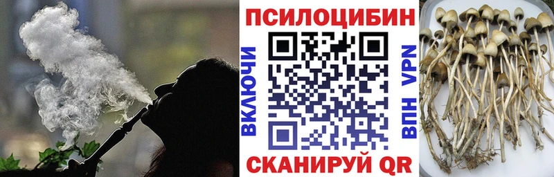Псилоцибиновые грибы мухоморы  купить наркотик  Ртищево 
