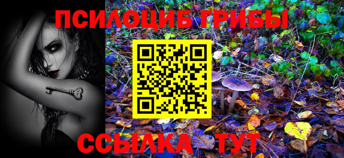 Псилоцибиновые грибы Psilocybine cubensis Ртищево